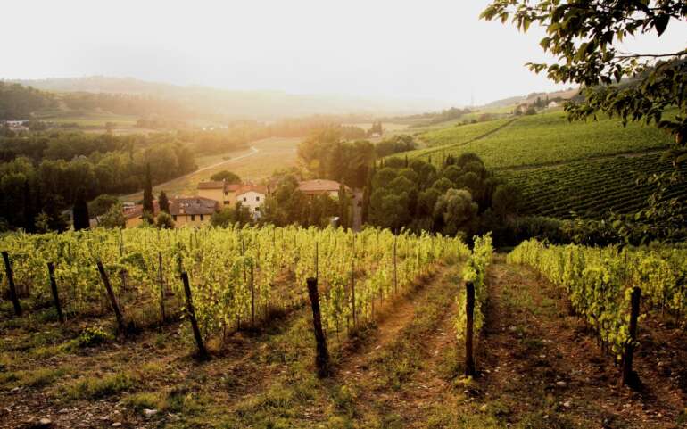 Chianti Classico Florence